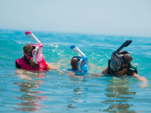 Diving and snorkeling