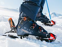 Fischer shoes
