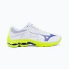 Mizuno volleyball shoes