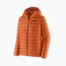 Patagonia jackets & vests