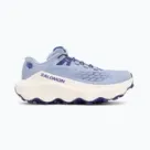 Salomon running shoes