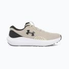Road running shoes Under Armour