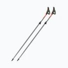 Nordic walking poles