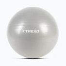 Exercise balls