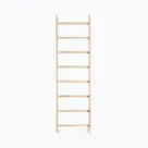 Gymnastic ladders