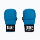 Karate gloves