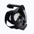 Snorkelling and Diving