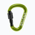 Expressions, climbing carabiners