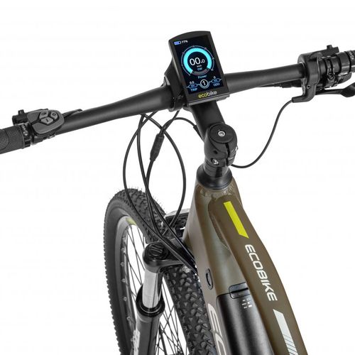 Electric bike EcoBike SX300/X300 LG 12.8Ah green 1010404