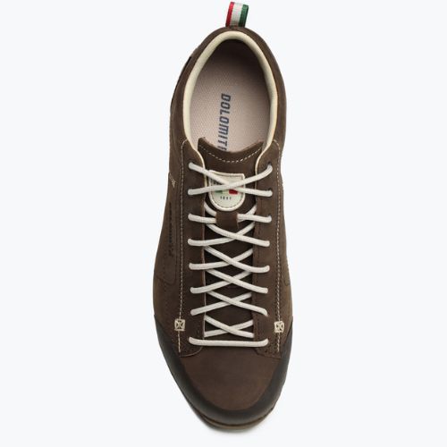 Men's trekking boots Dolomite 54 Low Fg Gtx brown 247959 0300