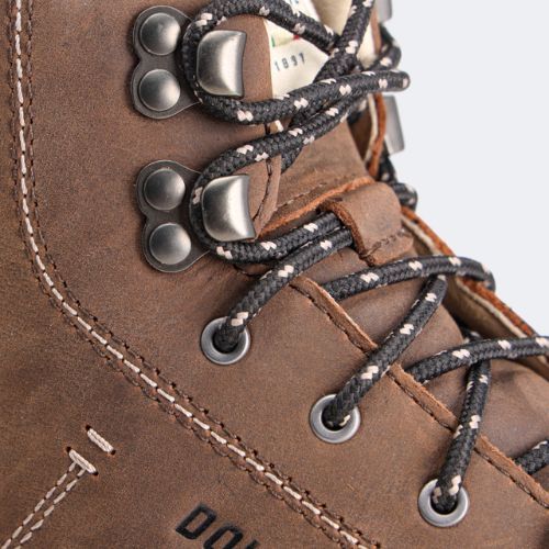 Women's trekking boots Dolomite 54 Trek Gtx W's brown 271852 0300