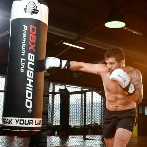 DBX BUSHIDO "Japan" sparring boxing gloves white B-2v8