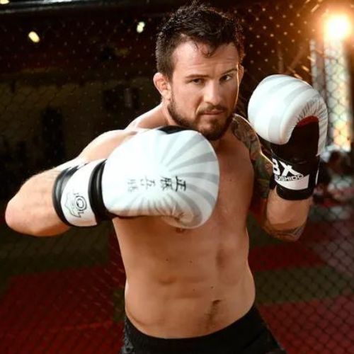 DBX BUSHIDO "Japan" sparring boxing gloves white B-2v8