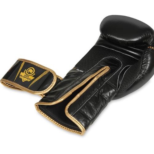 Boxing gloves DBX BUSHIDO natural leather black B-2v13