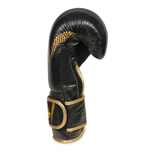 Boxing gloves DBX BUSHIDO natural leather black B-2v13
