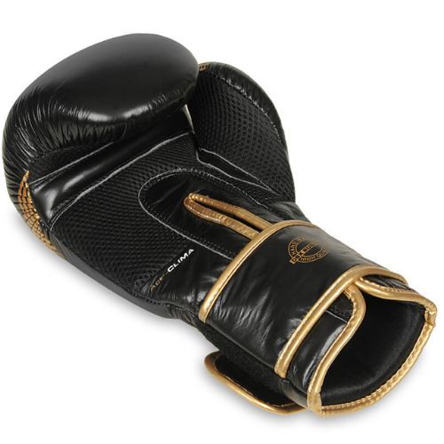 Boxing gloves DBX BUSHIDO natural leather black B-2v13