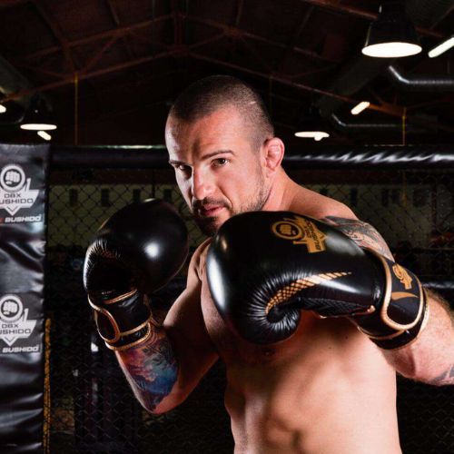 Boxing gloves DBX BUSHIDO natural leather black B-2v13