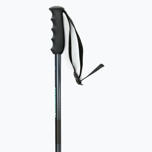 Women's ski poles Nordica ALPINE TI WOMAN 16 MM grey 0B081000 002