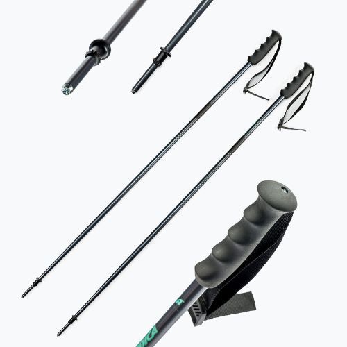Women's ski poles Nordica ALPINE TI WOMAN 16 MM grey 0B081000 002