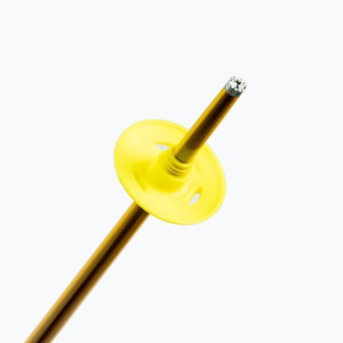 Salomon Arctic ski poles yellow L40559200