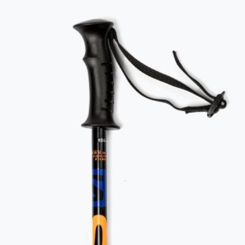 Salomon Kaloo Jr children's ski poles blue L41174600