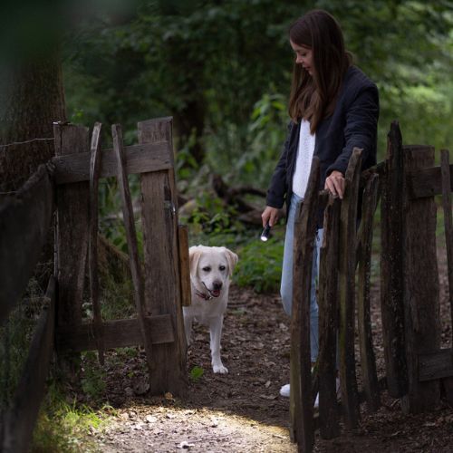 Ledlenser P5R Core torch black 502178