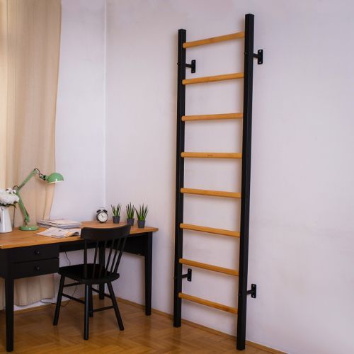 BenchK gymnastics ladder black BK-200B