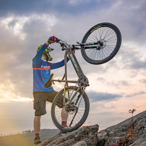 Electric bike EcoBike SX300/X300 LG 12.8Ah green 1010404