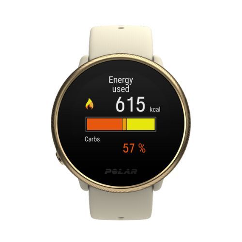 Polar Ignite 2 Champagne/Gold watch