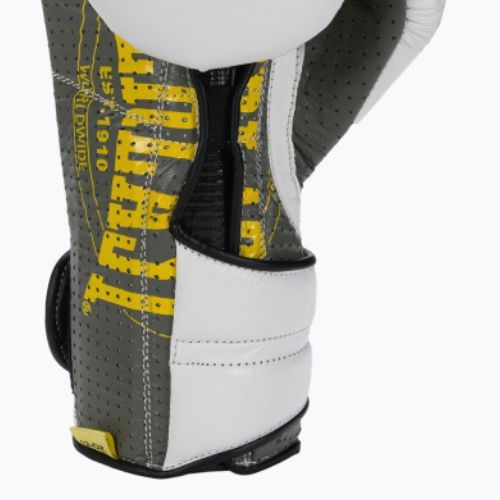 Everlast Boxing Gloves 1910 Classic Pro white EV1910