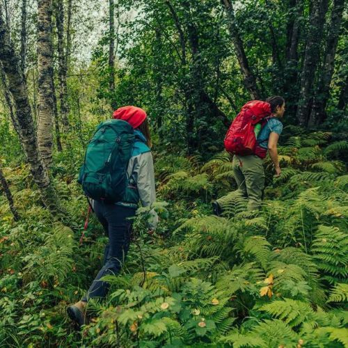 Gregory Amber 34 l green trekking backpack 126867