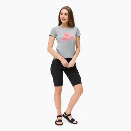 Women's trekking T-shirt Salewa Lines Graphic Dry grey 00-0000028064