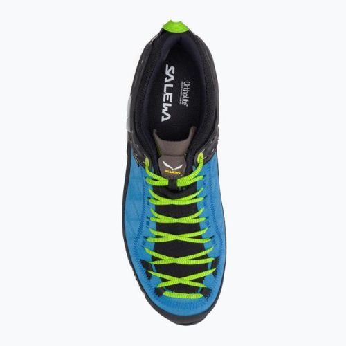 Men's trekking boots Salewa MTN Trainer 2 GTX blue 00-0000061356