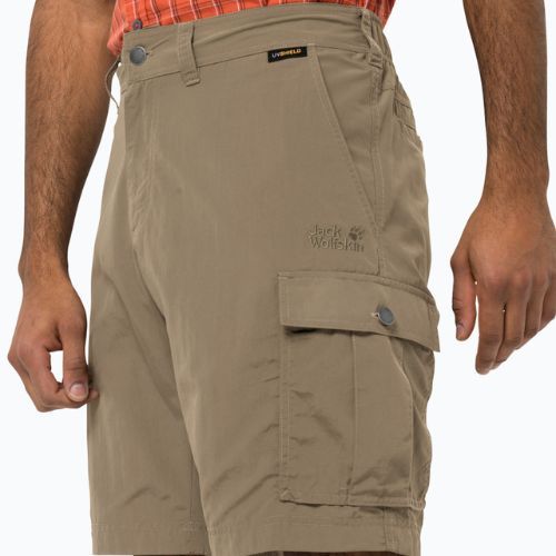 Jack Wolfskin men's trekking shorts Canyon Cargo brown 1504201_5605