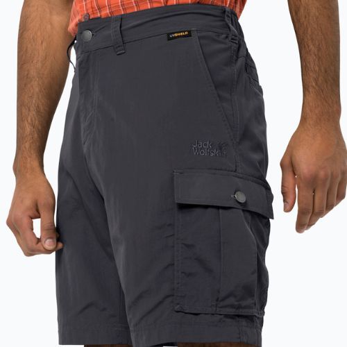 Jack Wolfskin men's trekking shorts Canyon Cargo grey 1504201_6168