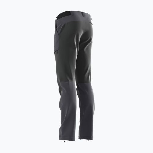Salomon Wayfarer Secure men's trekking trousers black LC1714100