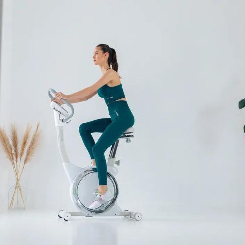 TREXO stationary bicycle white EB300