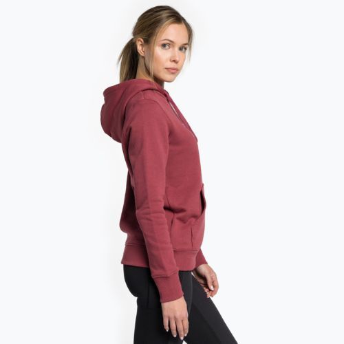 Women's trekking sweatshirt The North Face Drew Peak Pullover Hoodie wild ginger NF0A55EC6R41