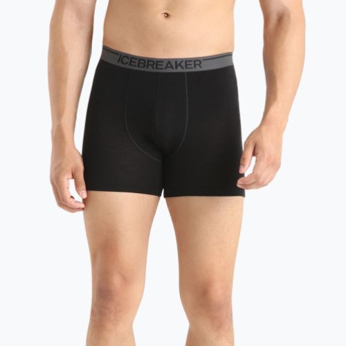 Icebreaker men's boxer shorts Anatomica 001 black IB1030290101