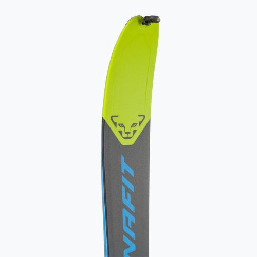 Men's DYNAFIT Seven Summits Skis + Ski Set green-blue 08-0000049163
