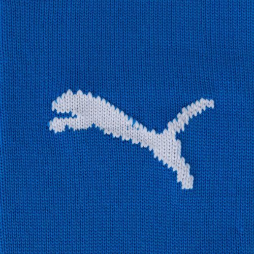 PUMA Team Liga Core football socks blue 703441 02