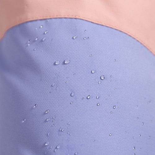 Women's snowboard trousers ROXY Chloe Kim Bib 2021 mellow rose