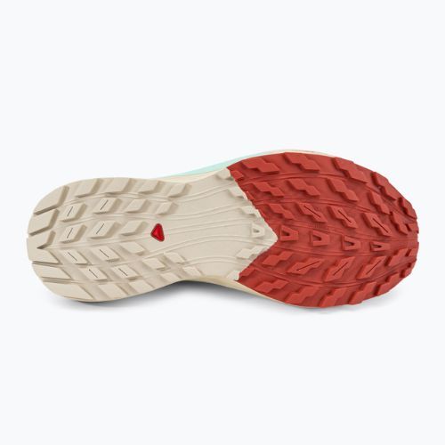 Salomon Sense Ride 5 Lily Pad/Rainy Day/Bleached Aqua women's running shoes L47212300