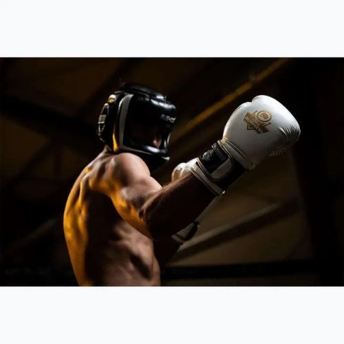 Boxing gloves DBX BUSHIDO DBD-B-2 white