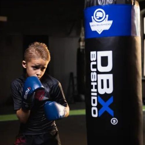 DBX BUSHIDO ARB-407v4 children's boxing gloves blue