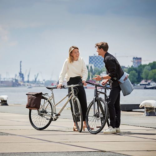 Basil Bloom City Shopper brown bike rack bag B-18370