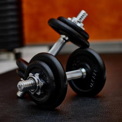 XTREXO 20 kg dumbbell set DK20