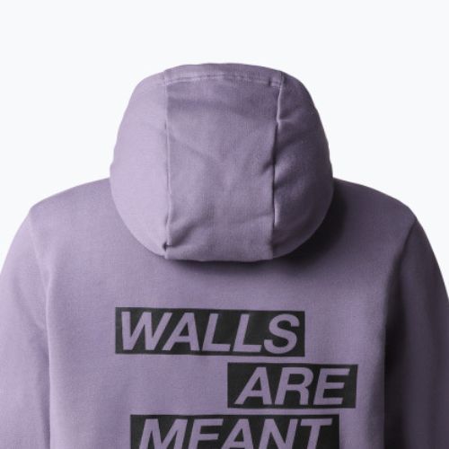 Women's trekking sweatshirt The North Face Outdoor Graphic Hoodie Light purple NF0A827LN141