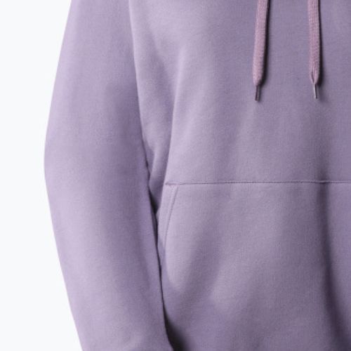 Women's trekking sweatshirt The North Face Outdoor Graphic Hoodie Light purple NF0A827LN141