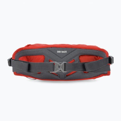 Salewa Lite Train Hipbelt kidney sachet red 00-0000001269